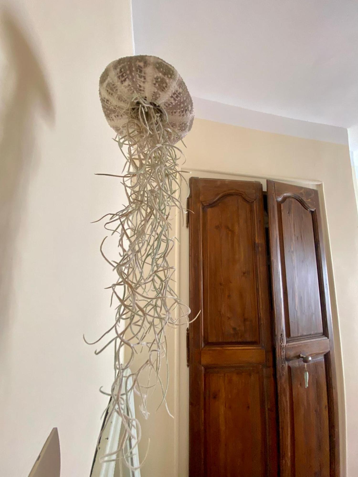 Casa Paloma *
